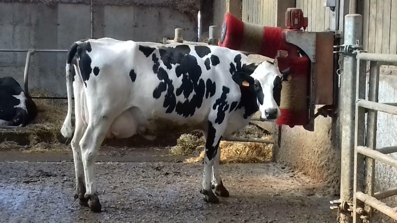 איזיני-סור-מר Ferme Du Rupalley מראה חיצוני תמונה